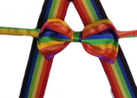 Suspenders & Bow Tie Set - Retro Rainbow Stripe